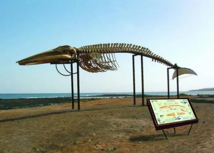 Playero Privado Wifi- Morrojable *