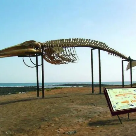 Playero Privado Wifi- Morrojable *